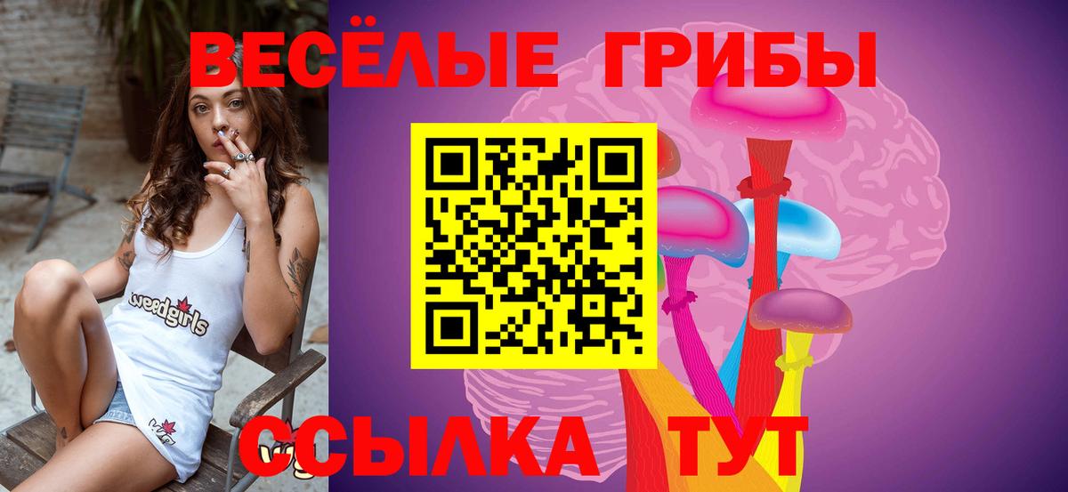 Галлюциногенные грибы GOLDEN TEACHER  Вход с VPN  Нарткала 