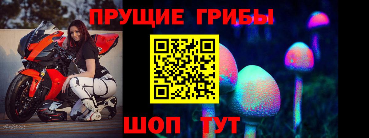 Псилоцибиновые грибы Psilocybine cubensis Нарткала