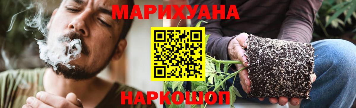 МАРИХУАНА White Widow  Марихуана планчик  Нарткала  Вход с VPN 